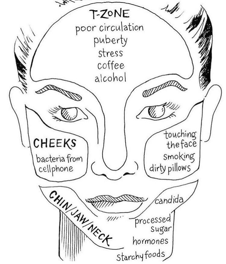 The Beauté Study | How to Learn Face Mapping For Acne 02